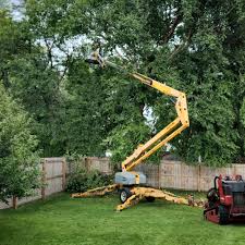 Lawn Drainage Solutions in Minden, NE
